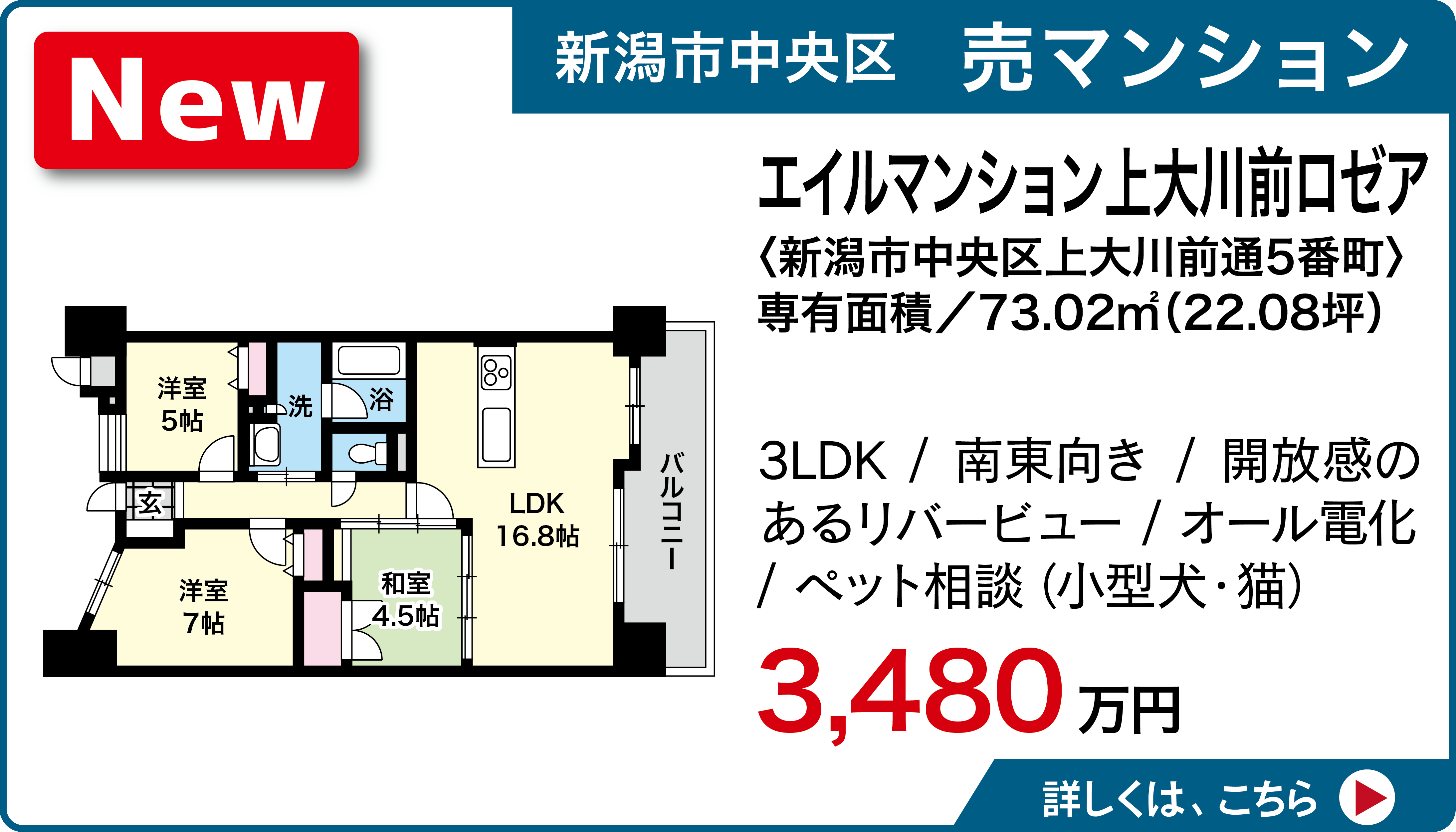 新潟市中央区上大川前通5番町