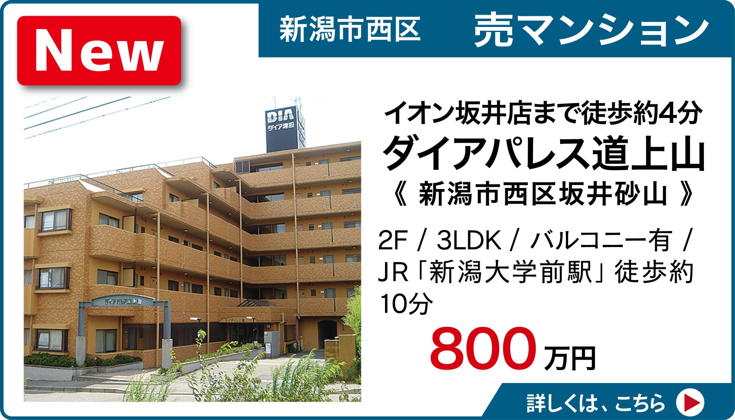 新潟市西区坂井砂山