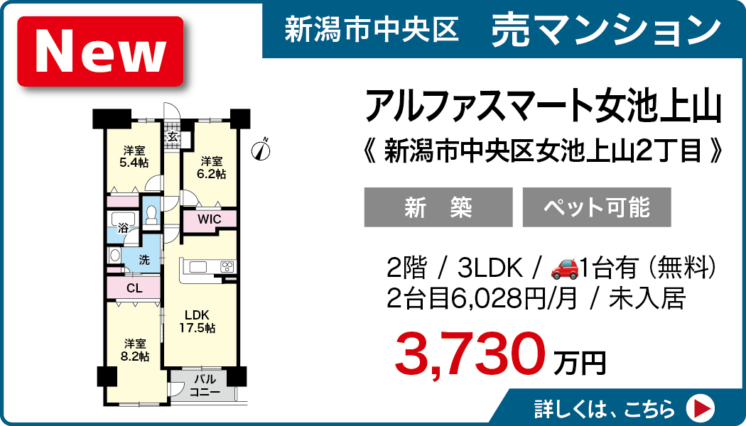 アルファスマート女池上山