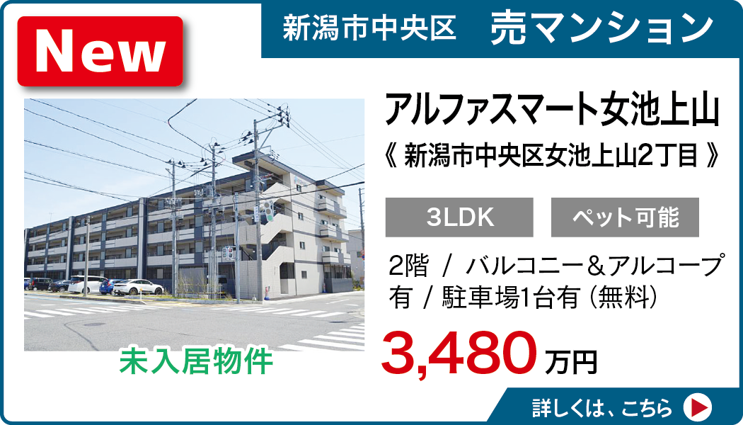 アルファスマート女池上山