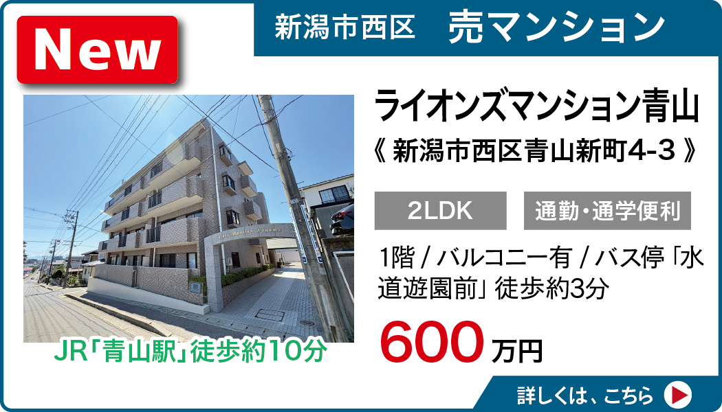 ライオンズマンション青山